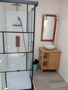 a bathroom with a sink and a mirror at Calme, proche Bordeaux - jardin et chats in Bassens