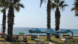 a beach with chairs and palm trees and the ocean at Villa Kumsal in Kuşadası