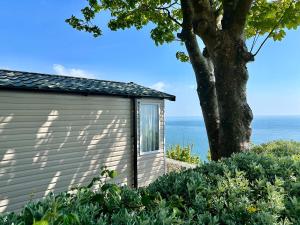 a house with a tree and the ocean in the background at Lower Cliff 9 in Portland