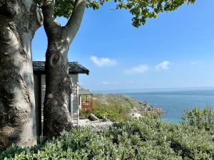 a house with a tree and the ocean in the background at Lower Cliff 9 in Portland +1 photo