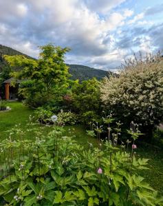 un jardín con muchas plantas y árboles en Haus zur Eule, en Todtnau