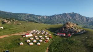 a herd of sheep grazing on a grassy hill at Bayankhad Star Lodge in Dugang Süme
