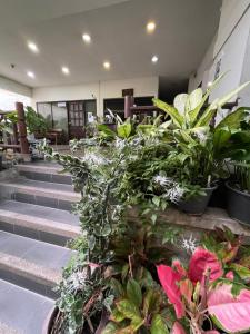 a lobby with a bunch of plants on the stairs at Sairin 1 bedroom BTS Udomsuk in Bangna