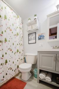 a bathroom with a toilet and a shower curtain at Cozy Condo, Minutes from Sunday River in Bethel