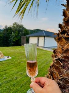 eine Person, die ein Weinglas vor einer Palme hält in der Unterkunft Mountain House Transalpina in Novaci-Străini + 22 Fotos