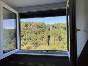 a window with a view of a forest at Cozy tiny house in Kyllburg