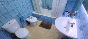 a blue bathroom with a toilet and a sink at La Casa de la Calzada in Santo Domingo de la Calzada +18 photos