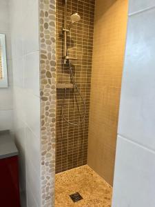 a shower with a shower head in a bathroom at Studio 4 personnes in Puget-sur Argens