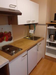 Η κουζίνα ή μικρή κουζίνα στο Apartment Schilcher