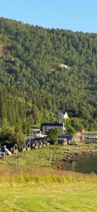 Γενική θέα στο βουνό ή θέα στο βουνό από  αυτό το κάμπινγκ