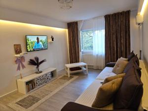 プロイェシュティにあるChique Apartamentのソファとテレビのあるリビングルーム