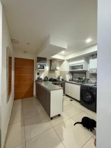 a kitchen with a black cat sitting on the floor at Chacabuco 658 in Comodoro Rivadavia