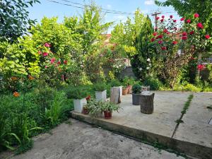 a garden with potted plants and trees and flowers at White House Korçë Guesthouse in Maliq