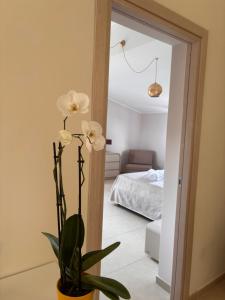 a vase with white flowers in a room at B&B La Terrazza in Mormanno
