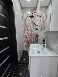 Koupelna v ubytování White House Apartman Miskolc, Red Room