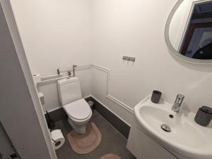 a bathroom with a white toilet and a sink at Suburban house in Rødbyhavn in Rødby +16 photos