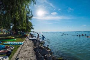 eine Gruppe von Menschen, die in einem Gewässer schwimmen in der Unterkunft Apartments in Siofok - Balaton 43965 in Siófok