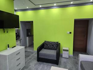 a living room with a chair and a tv at White House Apartman Miskolc, Green Room in Miskolc