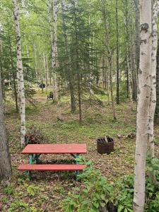 Gallery image of Ma-Su Thunder Cabin #1 in Houston