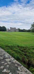 a large field of grass with a castle in the background at Tullywolly Cottage, Irvinestown in Stralongford +9 photos