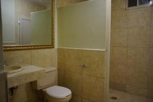 a bathroom with a shower and a toilet and a sink at Hotel Posada del Sol Inn in Torreón