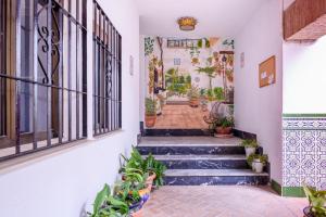 un corridoio con scale con piante in vaso di Patio Cordobés a Cordoba