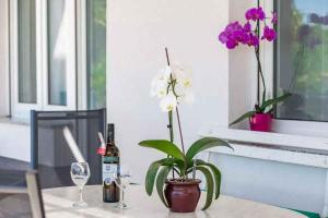 a table with a bottle of wine and a plant on it at Apartments in Povile 39105 in Povile