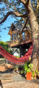 ein Baumhaus mit einer Hängematte davor in der Unterkunft Casa na arvore Dream tree house in Santa Clara dʼOeste