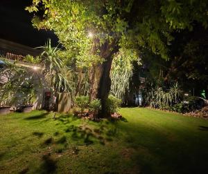 イスラマバードにあるBridge Residency Sector F6 Islamabadの夜の庭の木