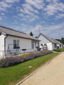 a white house with purple flowers in the yard at Apartments in Bük - Nordtransdanubien 44085 in Bükfürdő