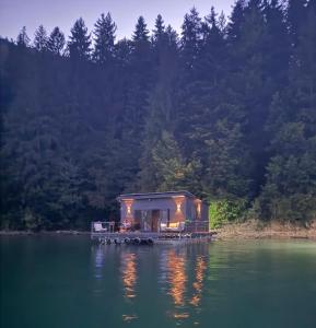 a cabin on a dock in the middle of a lake at Maya Lake House Ponton Bicaz 