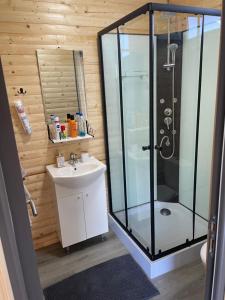 a bathroom with a shower and a sink at Maya Lake House Ponton Bicaz 