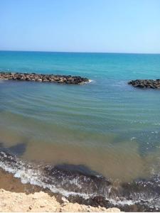 Naturlandskabet i nærheden af lejligheden