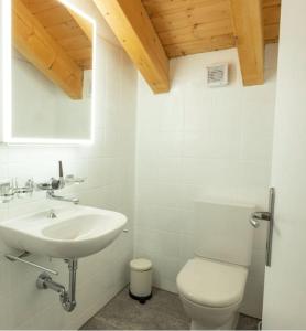 a white bathroom with a toilet and a sink at Edelweiss Pany in Pany +21 photos