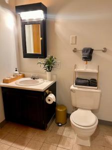 a bathroom with a toilet and a sink and a mirror at Walk to Concerts Beach with Pool View in Gilford +56 photos
