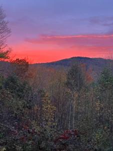 Loodusmaastik puhkemaja lähedal
