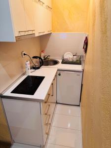 Una pequeña cocina con fregadero y estufa. en Apartman Bella Zlatibor, en Zlatibor