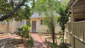 żółty dom z drzewami przed nim w obiekcie Beach House - Mar de Taganga w mieście Taganga