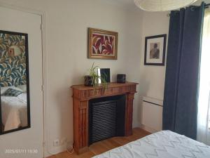 a living room with a fireplace and a bed at Les Appartements du 31 - Centre Ville - 2è étage - 50 m2 in Quimper +6 photos
