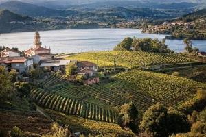 an aerial view of a vineyard with a church and water at O Recuncho do Lito in Prado