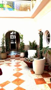 a room with potted plants on the floor and a door at Riad N'tayri - Séjour intimiste et authentique - Accueil personnalisé in Tamraght Ouzdar