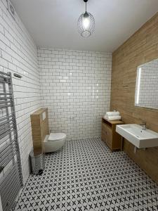 a bathroom with a sink and a toilet at Vila Fráňa apartmán 5 in České Budějovice +12 photos