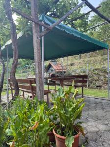 a picnic shelter with benches and plants at Chalet SS Pohorje in Hočko Pohorje