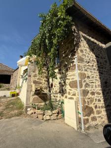 a stone house with a tree on the side of it at Appartement privé rose in Vinzieux