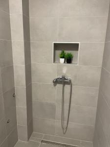 a bathroom with a shower with a plant in it at Quattro Rocce Apartments Zelen in Sutomore