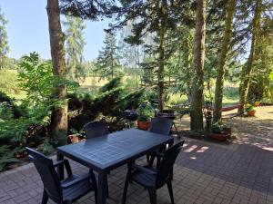 a black table and chairs on a patio with trees at Dom Wakacyjny z ogromnym ogrodem in Witaszyn