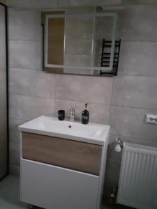 a bathroom with a white sink and a mirror at Villa Solochyn in Solochyn +25 photos