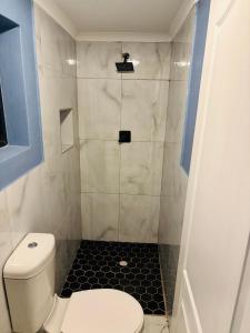 a bathroom with a toilet and a shower at Brown Accomodation in Cape Town +5 photos