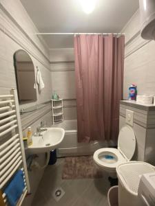 a bathroom with a toilet and a sink and a shower at Lake View EIA in Lukavica