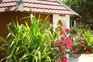 Zahrada ubytování campement les baobabs Abene plage